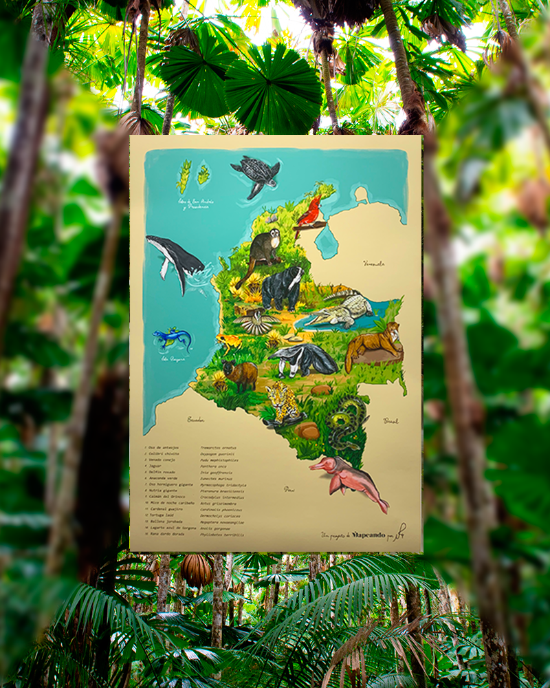 Mapa Fauna de Colombia | Mapeando – Mapeando.co