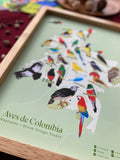 Mapa ilustrado "Aves de Colombia”